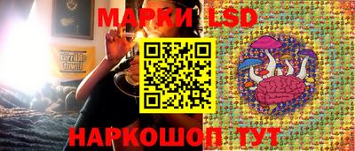PSILOCYBIN Малгобек