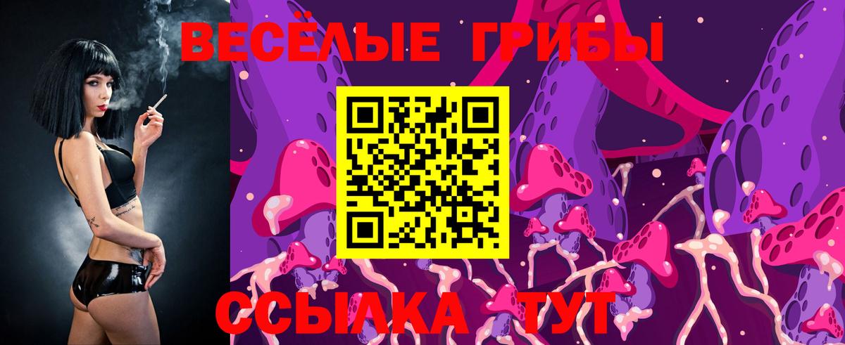 Кизляр  что такое наркотик  Галлюциногенные грибы Psilocybe  Вход с VPN  Галлюциногенные грибы MAGIC MUSHROOMS 